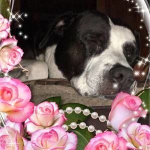 Meet your Posher, Katelynne